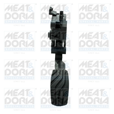 Accelerator Pedal Unit